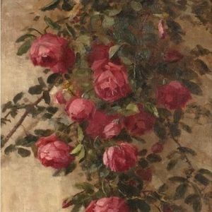 Meet your Posher, Esme